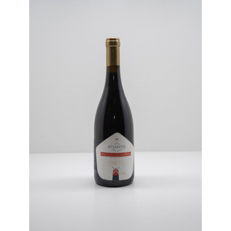 Vinho Branco - Curral Atlantis