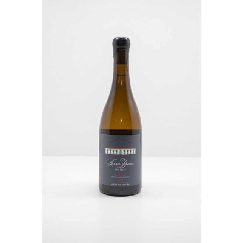 Vinho Terra Brum do Pico